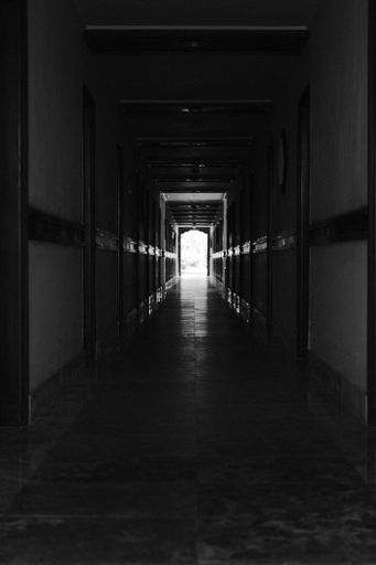 A vertical shot of a long hall corridor with a rooms in both sides