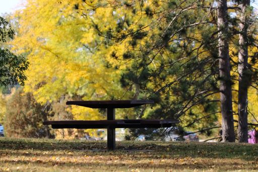A wooden picnic table in a park during autumn