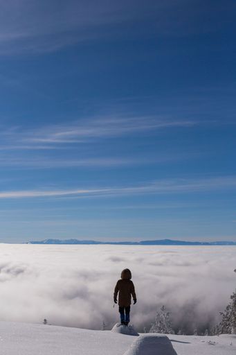 A vertical shot of a male from behind looking at a scenic view in snowy mountains