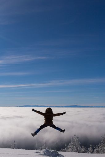 A vertical shot of a male from behind jumping and enjoying the view in snowy mountains