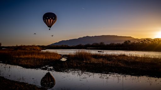 A hot air balloons over the Rio Grande river at sunrise next to flying birds in Albuquerque New Mexico