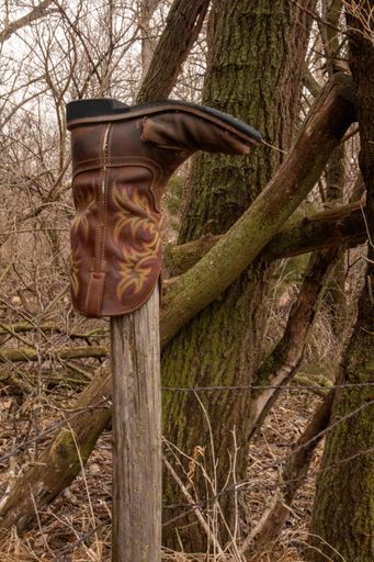A closeup of a cowboy boot on a wooden fence