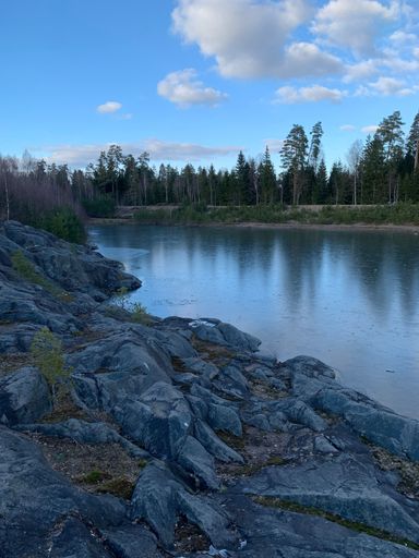 A vertical shot of a calm lake with a rocky shore on the background of trees under the blue sky