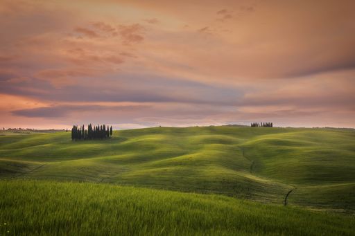 Cypresses of San Quirico. One of the most famous Tuscan iconic visions in the world
