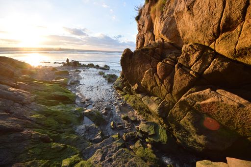 A beautiful view of the moss covered rocks on the beach captured in Le Mont Saint-Michel in France