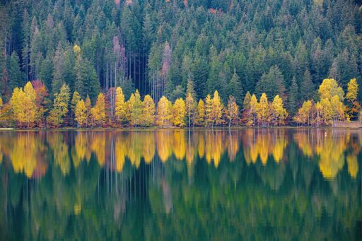 A scenic shot of  yellowed trees mirrored in the water of Saint Ana lake in Romania