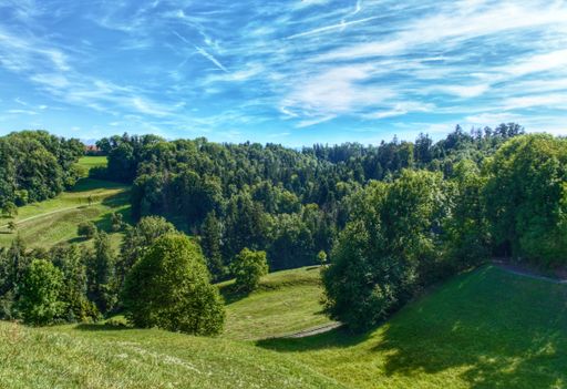 A green valley with trees against a cloudy blue sky