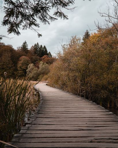 A vertical shot of a wooden walking trail through an autumn park