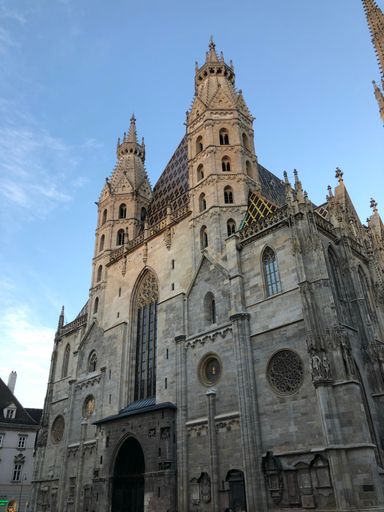 A vertical shot of the historic Stephandsdom church in Vienna, Austria