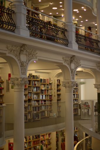 A vertical shot of the interior of the Carturesti Carusel library-bookstore with beautiful columns