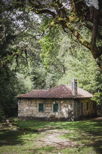 A beautiful shot of and old abandoned house in a forest surrounded by colorful autumn trees