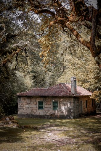 A beautiful shot of and old abandoned house in a forest surrounded by colorful autumn trees