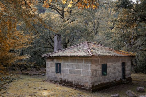 A beautiful shot of and old abandoned house in a forest surrounded by colorful autumn trees
