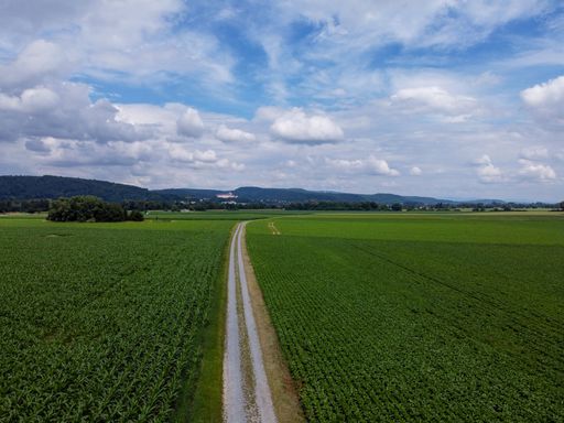 An aerial shot of a narrow trail between green fields with a cloudy blue sky in the background
