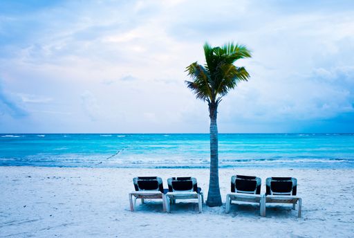 Mexican beach with lounge chairs and a palm tree 87at the Riviera Maya, Mexico.