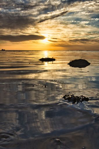 A mesmerizing view of the golden sunset over the sea