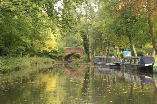 A beautiful shot of an old black steamboat parked in the river of the forest in autumn
