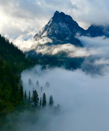 The alps covered in fog and clouds with forests in the foreground