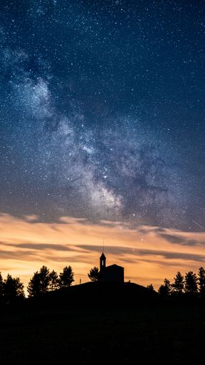A vertical view of the silhouettes of a Sanctuary and trees under the starry night sky