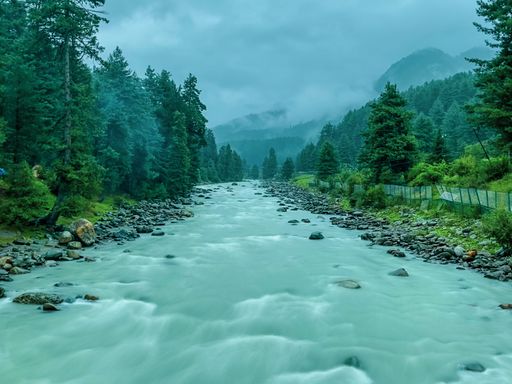 A rocky river in the middle of the forest with mountains in the background