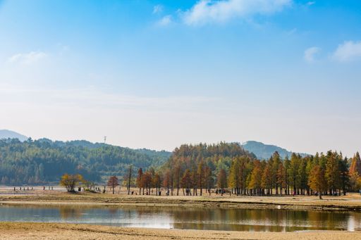 An aerial view of lake surrounded by dense autumn trees in Anhui
