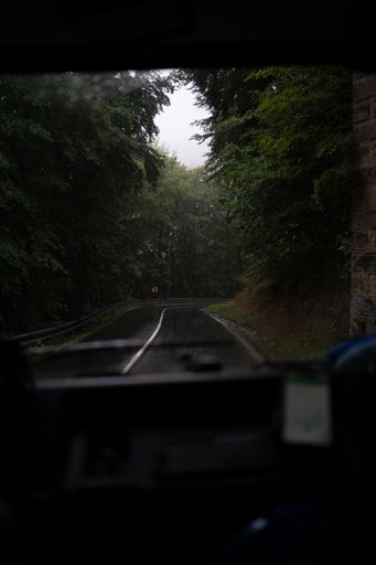 A view from car to road surrounded by dense trees in rainy day