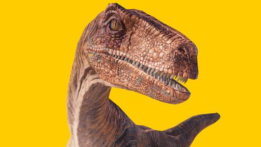A velociraptor dinosaur isolated on yellow blank background