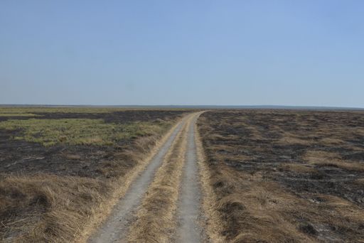 A dirt road in a field with a clear horizon captured during the daytime