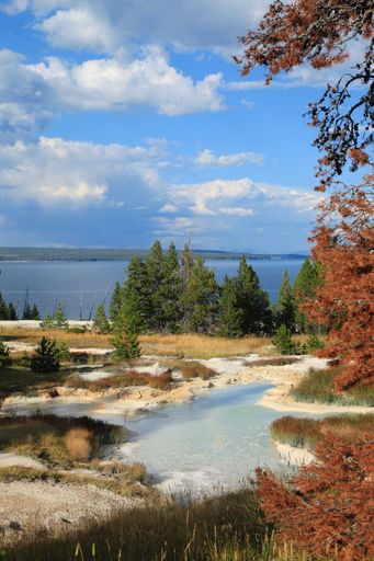 A vertical shot of a lake in a forest under the big white clouds