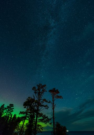 A vertical low angle of pine trees against starry night sky at aurora borealis at Lake Superior, Keweenaw peninsula, Michigan