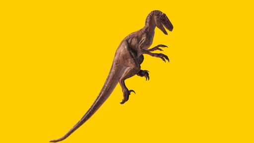 A toy velociraptor dinosaur on a yellow background