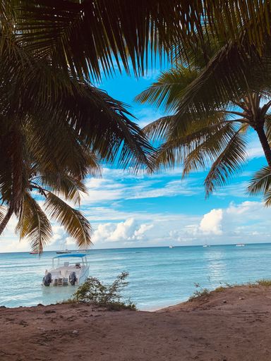 A beach view with coconut trees around and a white boat flowing near, a cloudy, blue sky background