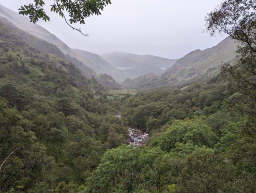 A scenic view of a river flowing through mountains covered with green forests on a foggy day