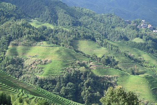 A drone shot of green fields on the slope of a hill