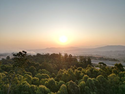 A high-angle of a sunrise over the forest, shining sun in the horizon, purple and blue sky background