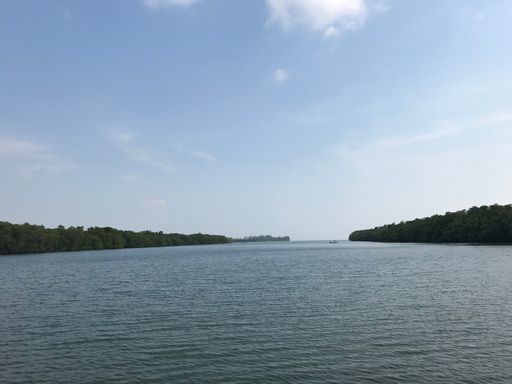 A lake surrounded by trees under a cloudy sky