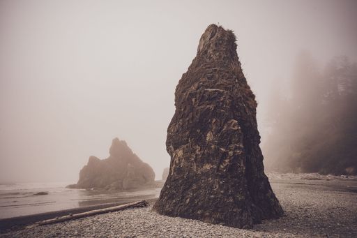 A triangular rock formation on Ruby Beach on foggy day in Washington State, USA