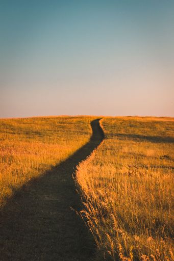 A vertical shot of a narrow black trail in a yellow field, Lincoln, Nebraska, Unites States