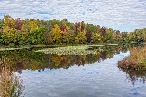 A breathtaking view of a calm lake surrounded by colorful autumn trees, reflecting the bright cloudy sky