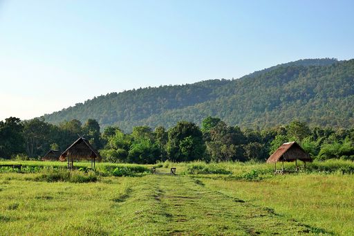 A gorgeous landscape with bright green grassy fields surrounded by bushy trees and hills under a pale blue sky