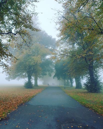 A lovely view of green and orange trees in an empty park with fallen leaves on the ground on a misty morning in the UK