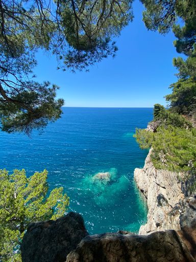 A gorgeous vertical shot of a bright blue sea surrounded by lush greenery on an island under a clear sky