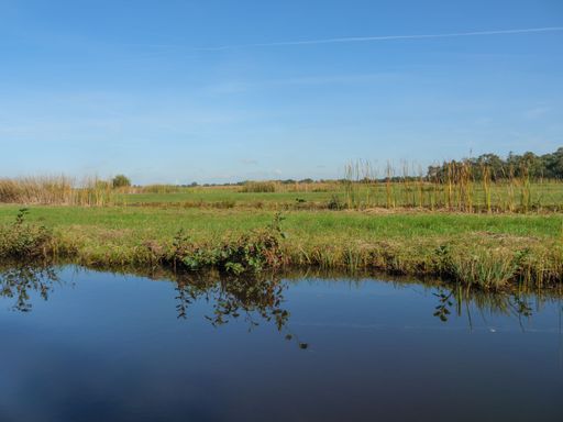 An image of the water surface of the gracht located in Giethoorn, Netherlands and surrounded with grass and plants