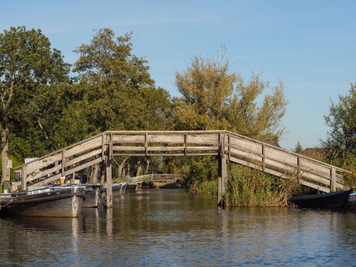 An image of a wooden bridge on the river surrounded by trees.
