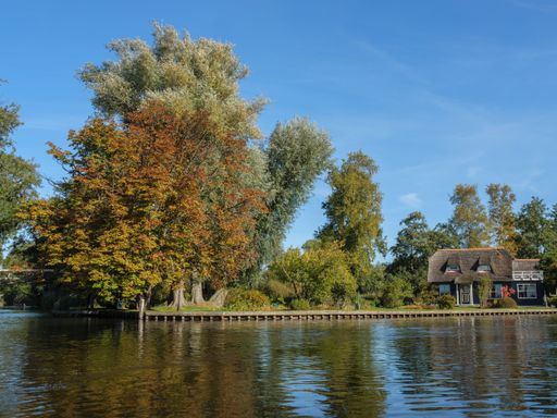 An image of green trees and a house on the coast of the river under the blue sky.