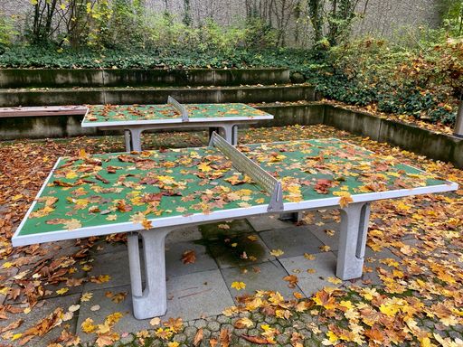 Two tennis tables covered with fallen golden leaves