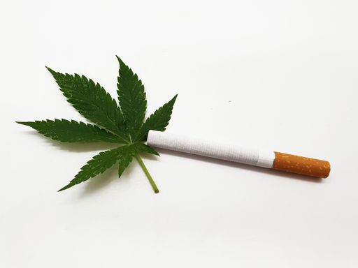 A closeup shot of a cigarette  and a green leaf on a white background