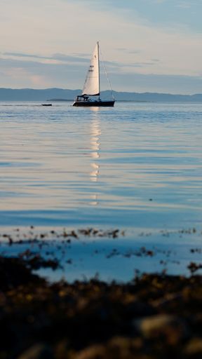 A fjord sailboat sunset with mast reflected in the water
