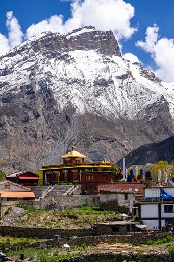A vertical shot of Holy Buddhist Hindu site of Muktinath in Upper Mustang, Nepal