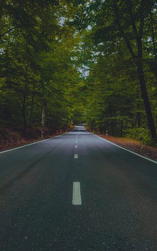 A vertical shot of the asphalt road surrounded by green trees on both sides